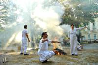 12. Bijenale umetnosti - Odbrana prirode